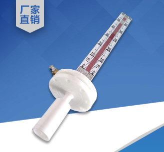 PP頂裝磁翻板液位計(jì)