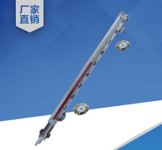 防腐型磁翻板液位計(jì)