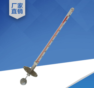 頂裝式磁翻板液位計(jì)